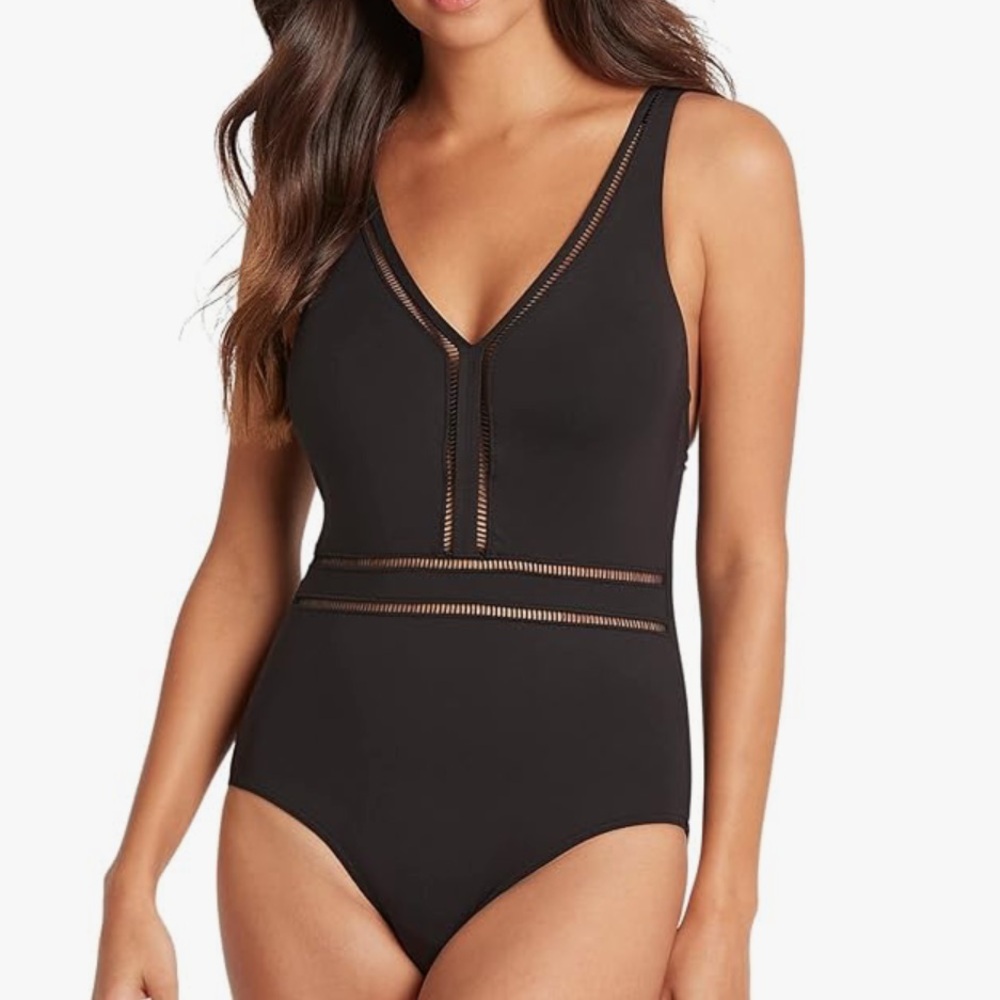Sea Level Black One-Piece with Sheer Mesh Panels